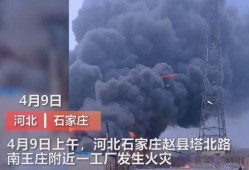 枣庄媒体爆料事件视频,视频揭露惊人真相