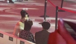 杨紫今日头条爆料,揭秘演艺圈幕后故事