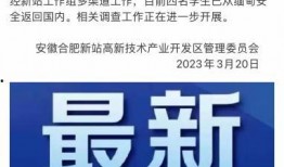 海南网红爆料新闻事件真相,揭秘真相背后的曲折历程