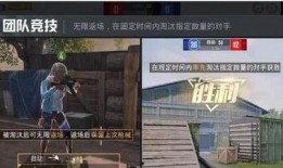 石家庄爆料精英事件视频,揭秘背后真相与网络舆论风暴