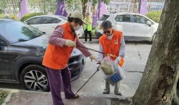 圆梦之行最新皮肤爆料是真的吗,官方确认，真实度爆表！