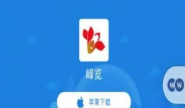 枣庄媒体爆料事件视频,视频揭露惊人真相