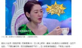 小鹿离婚爆料视频,揭秘婚姻背后的真相与心酸