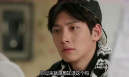 healer 在线观看,在线观看Healer的治愈之旅