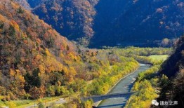 《山谷》在线观看,探寻自然奇观与心灵之旅