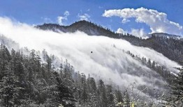 流云最新爆料消息,最新爆料事件深度解析