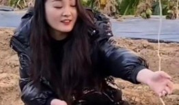 黄鑫邻居爆料事件真相视频,还原背后惊人内幕