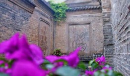 韩城某网红吃瓜视频曝光,揭秘韩城某神秘事件真相