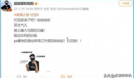 爆料的狗仔被抓了吗视频,幕后黑手终落网