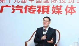 深圳小宋最新爆料新闻报道,最新新闻报道揭秘