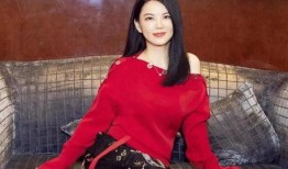 李湘爆料母亲视频播放,引发网友热议