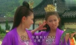 妃子笑在线观看完整版,宫廷秘恋，爱恨交织的传奇人生