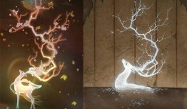 超级神鹿爆料视频,视频爆料背后的惊人真相