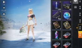 大转盘皮肤最新爆料背包,背包系统革新，惊喜连连！