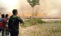 滑县新闻爆料网,聚焦本土热点，解码民生故事