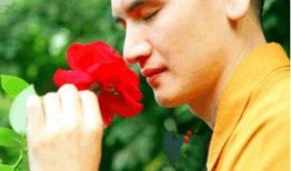 花草和尚在线观看,探寻禅意生活之美