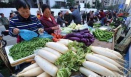 福州三道菜爆料视频大全,传统美食背后的故事与风味