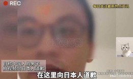 日本爆料者道歉了吗视频,真相与反思