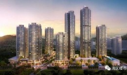 深圳华润最新爆料,揭秘项目进展与未来规划