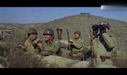 在线观看战争片,在线重温经典战争巨作