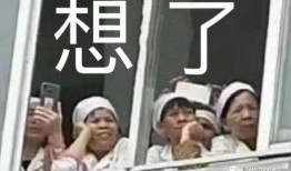 娱乐爆料文案沙雕视频,娱乐爆料引发网友热议