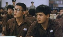 监狱风云2在线免费观看,在线免费观看，揭秘铁窗背后的残酷现实