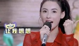 娱乐圈吃瓜张柏芝是谁,娱乐圈风云中的璀璨明星