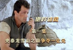 绝岭雄风在线观看,巅峰对决，在线热血激战