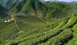 在线观看圣水河畔,探寻神秘河畔的传奇故事