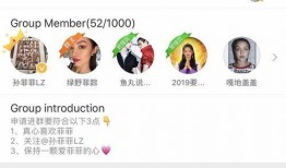 淄博网红吃瓜群微信群号,揭秘群号背后的热门话题与社交圈