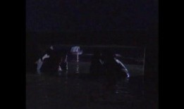 曾小燕电影在线观看,在线观看，重温经典瞬间