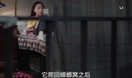 花园姐姐爆料视频大全集,揭秘幕后故事与精彩瞬间