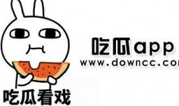 所有网红吃瓜的网站下载,揭秘娱乐圈幕后真相