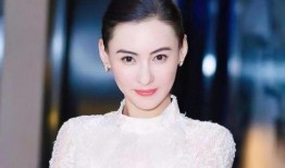 娱乐圈吃瓜张柏芝是谁,娱乐圈风云中的璀璨明星