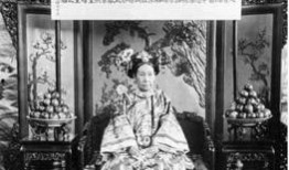 慈禧的秘密在线观看,在线观看慈禧的秘密，探寻晚清风云