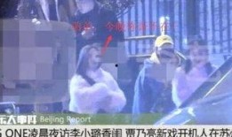 真言夫妇爆料视频在线观看