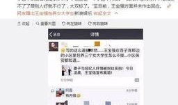 马蓉爆料新闻视频,婚姻真相与情感纠葛