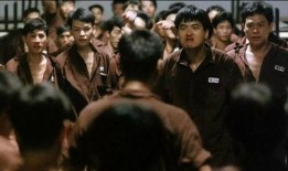 监狱风云2在线免费观看,在线免费观看，揭秘铁窗背后的残酷现实