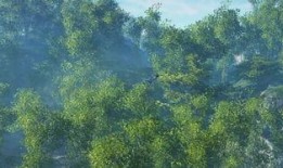 龙吟最新爆料视频,揭秘神秘势力动向及未来走向