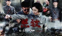 怒放电视剧全集在线观看,激情燃烧的岁月，热血青春的传奇