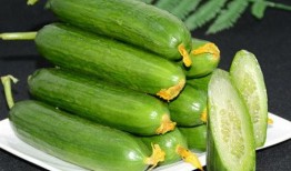 新黄瓜最新爆料图片高清,惊艳亮相，绿色革命新篇章