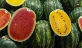 网红吃瓜打包图片真实高清,高清打包图揭秘幕后真相