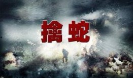 擒蛇第39集在线观看,揭秘蛇影重重背后的惊天阴谋