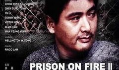 监狱风云2在线免费观看,在线免费观看，揭秘铁窗背后的残酷现实