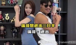 成都名媛爆料事件视频播放,揭秘背后真相与争议