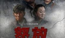 怒放电视剧全集在线观看,激情燃烧的岁月，热血青春的传奇