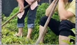 娱乐八卦 吃瓜群众