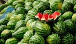 网红吃瓜颜色分类是什么,一网打尽各类瓜果色彩分类