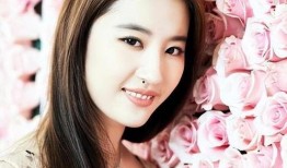 娱乐圈最新爆料刘亦菲,娱乐圈再掀波澜