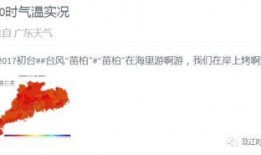 今日佛山爆料消息最新,揭秘城市热点事件背后的真相